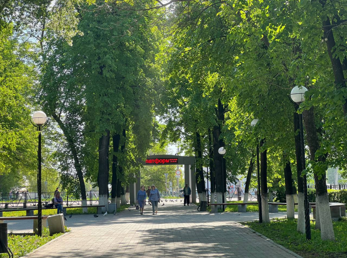 Фото: Анна Мантурова