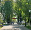В приоритете – красота и практичность. Голосуем, товарищи, голосуем!