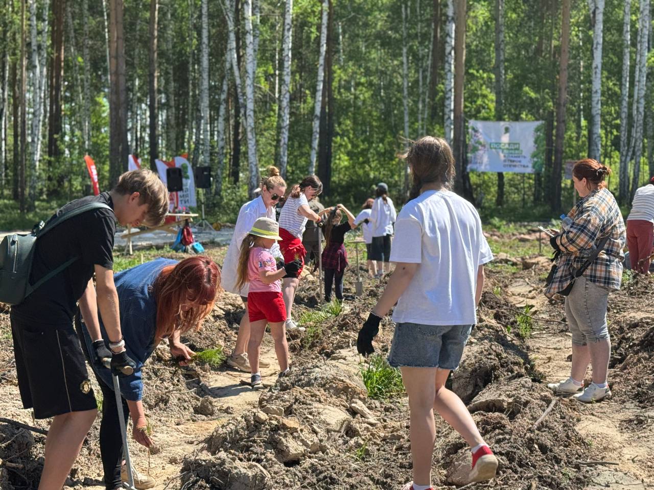 Мемориальная роща-геоглиф «80 ЛЕТ ПОБЕДЫ» появилась в Свердловской области