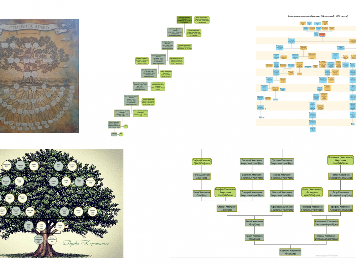Фото предоставлено автором