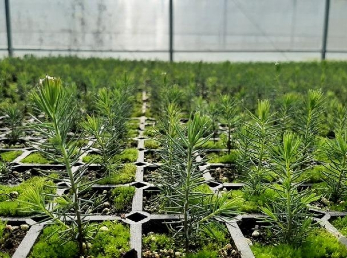 Фото предоставлено ДИП