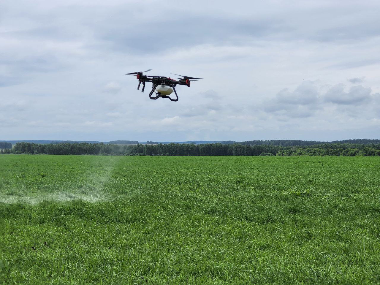  Агрономы запустили уникальный для Свердловской области проект по обработке полевых посевов при помощи беспилотников