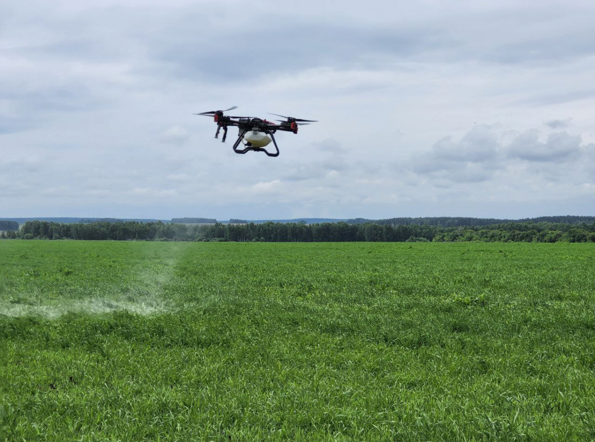 Фото: предоставлено ДИП