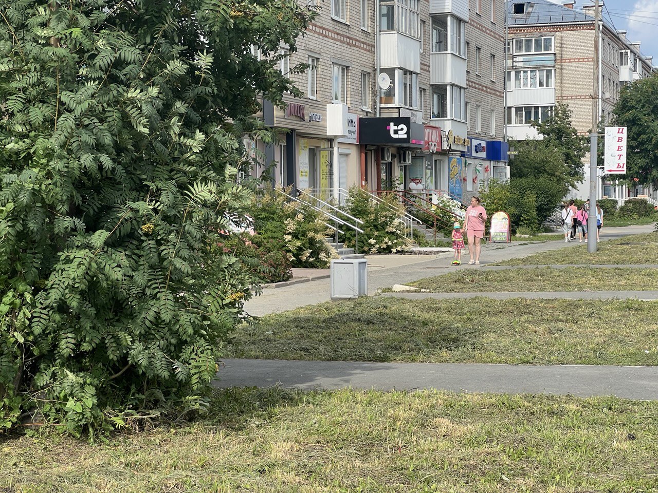 Чистота начинается с малого – это простые правила