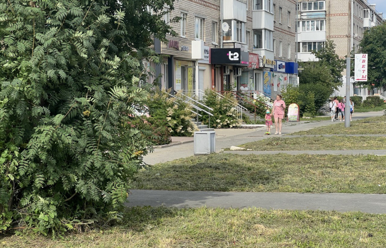 Фото: Анна Мантурова