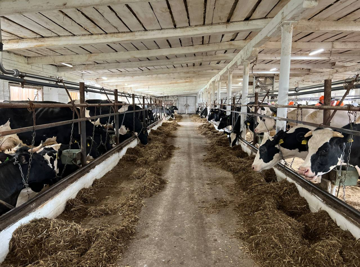 Фото: Анна Мантурова