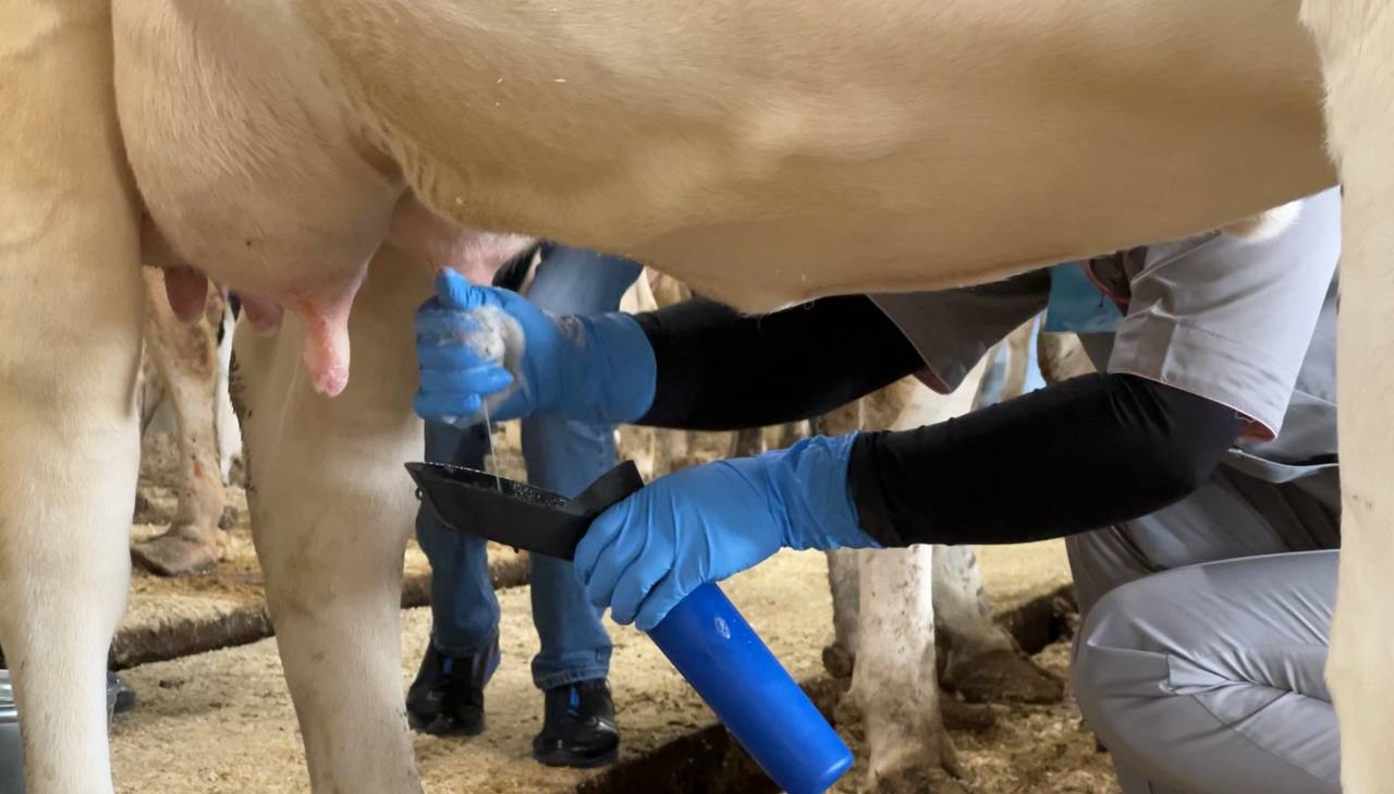 Сельский стаж – это реальная прибавка к пенсии!