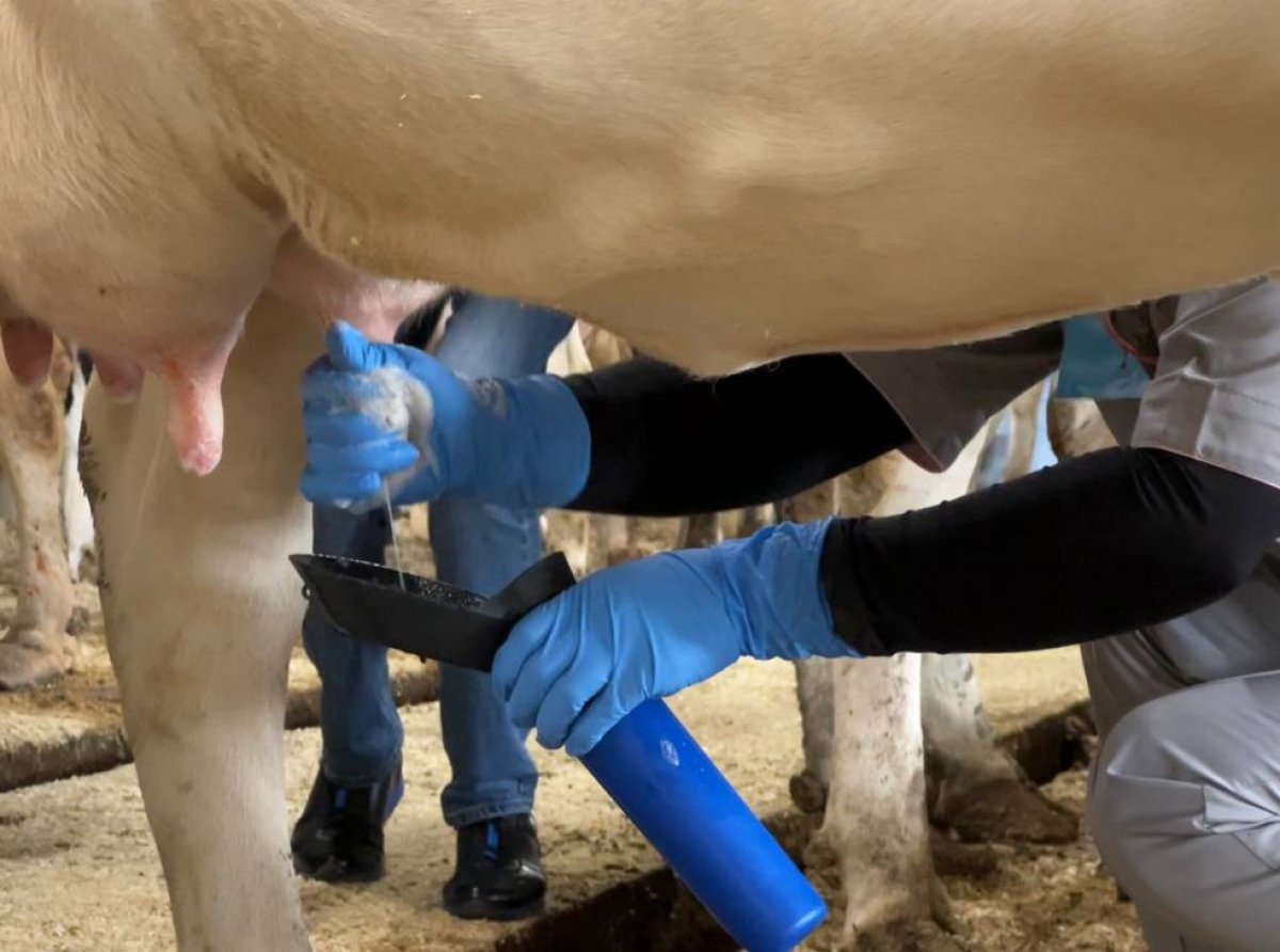 Фото: Анна Мантурова