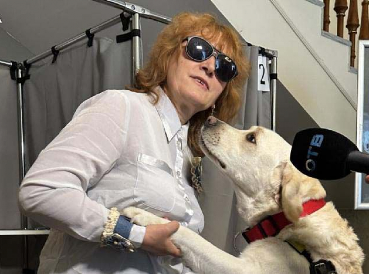 Фото предоставлено ДИП