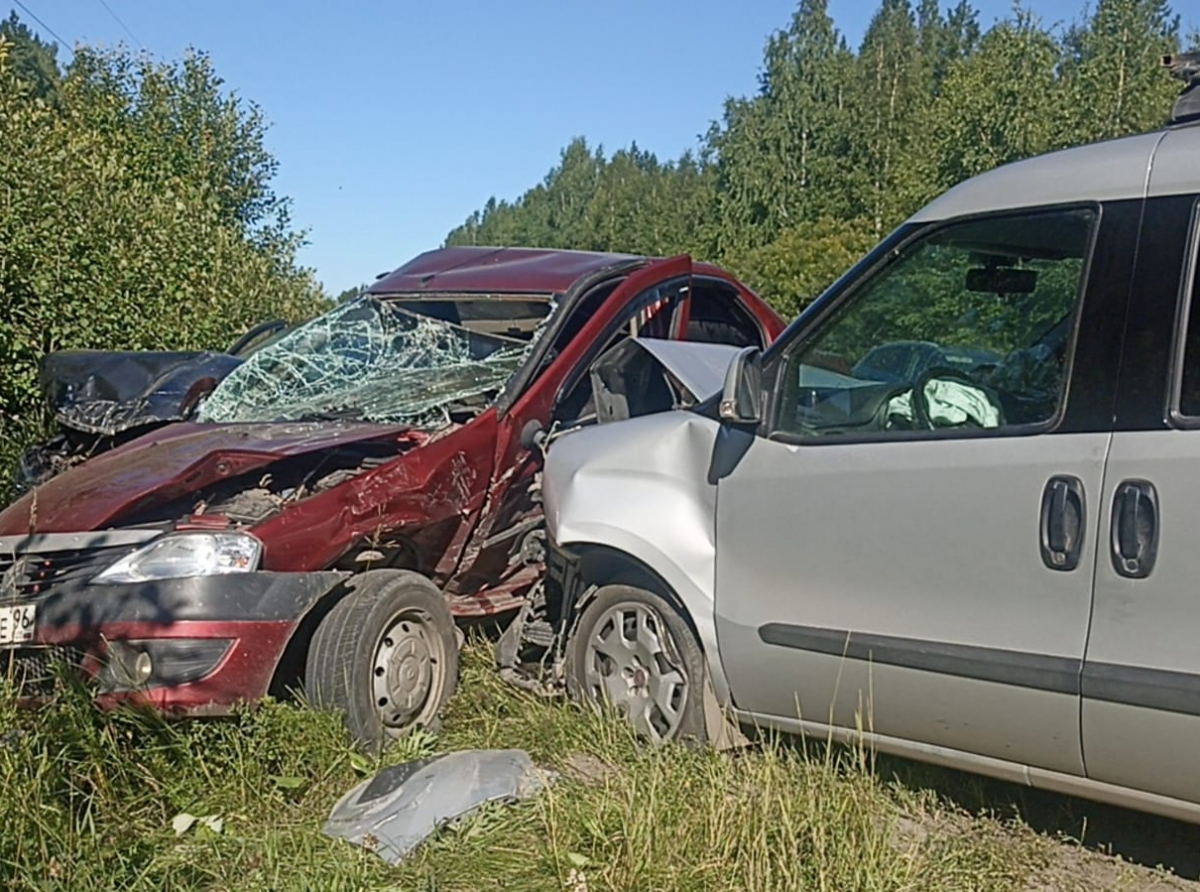 Фото: Алла Черемных