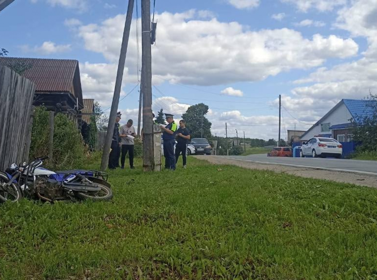 Фото: Алла Черемных