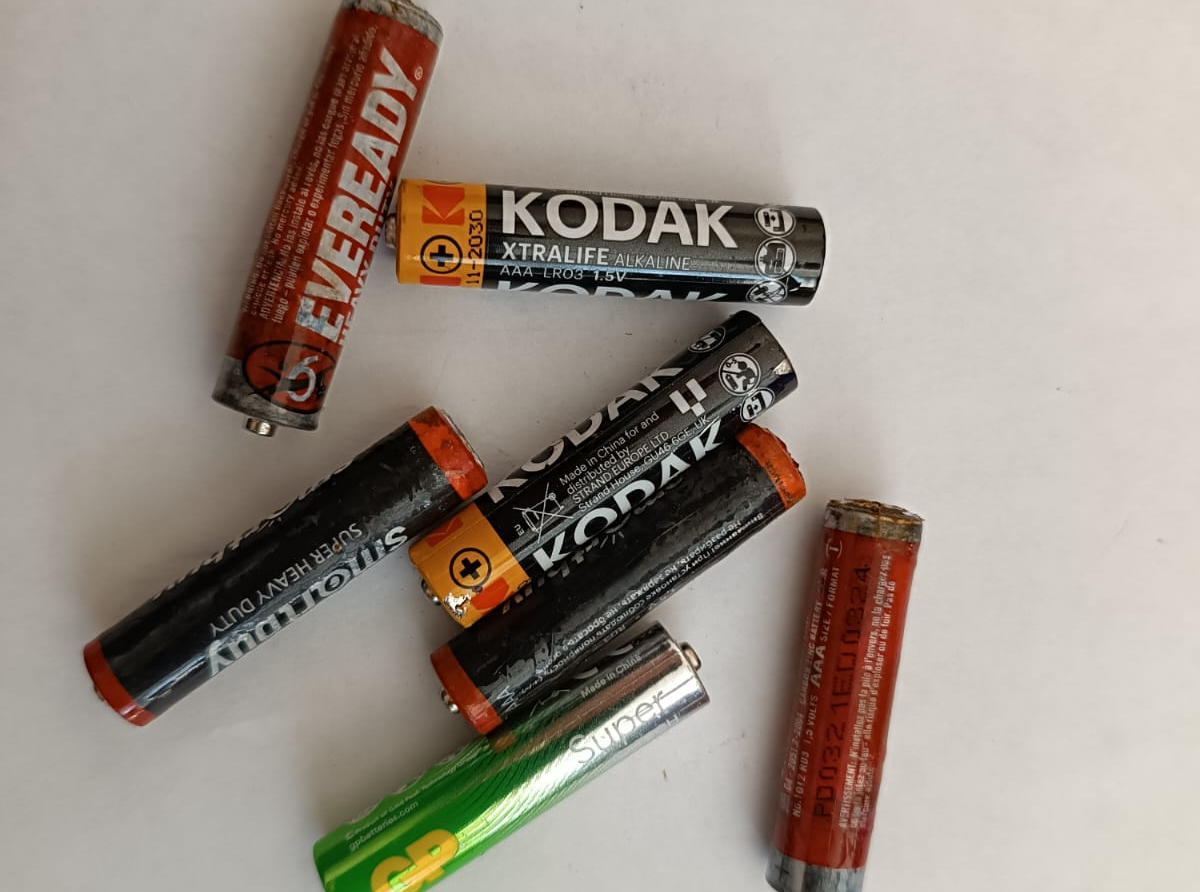 Фото предоставлено автором