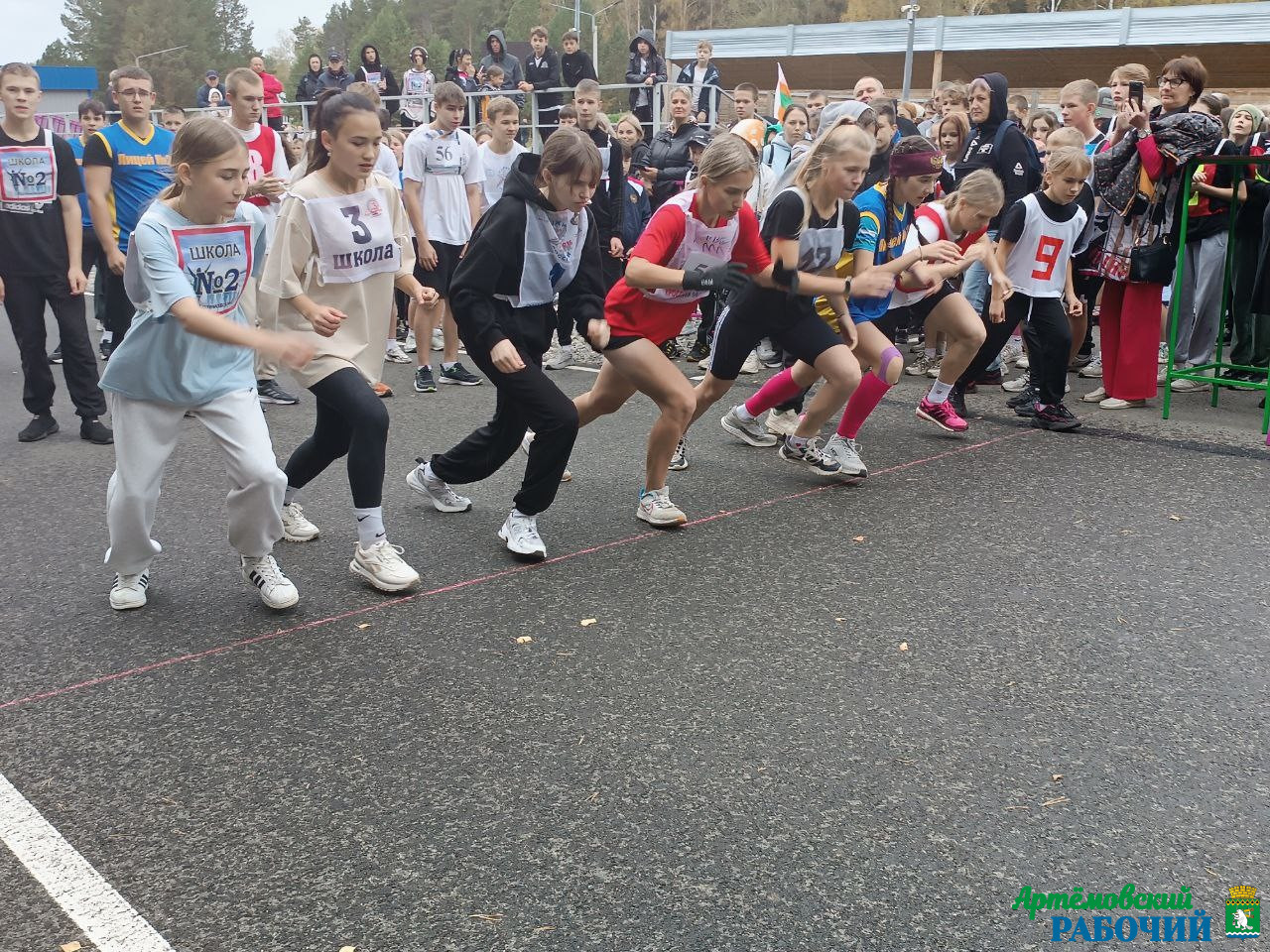 Все на старт!