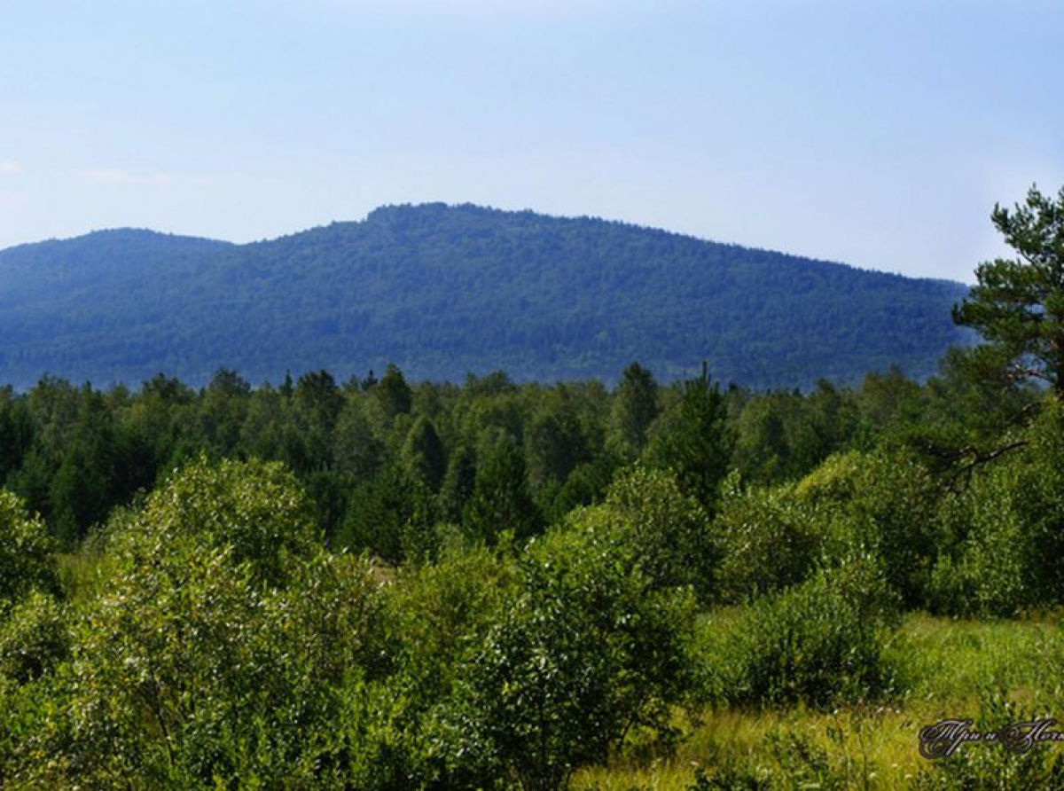 Фото предоставлено ДИП