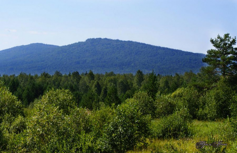 Фото предоставлено ДИП