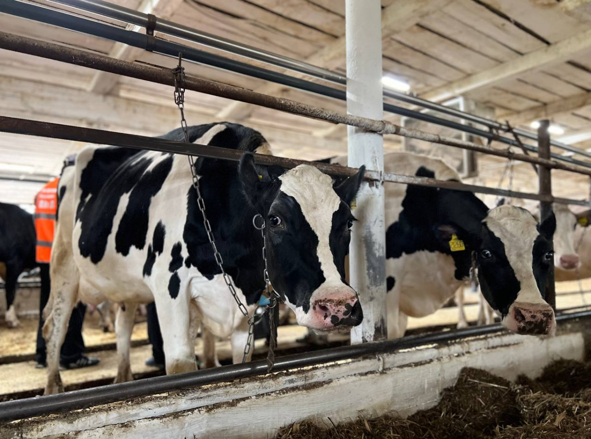 Фото: Анна Мантурова