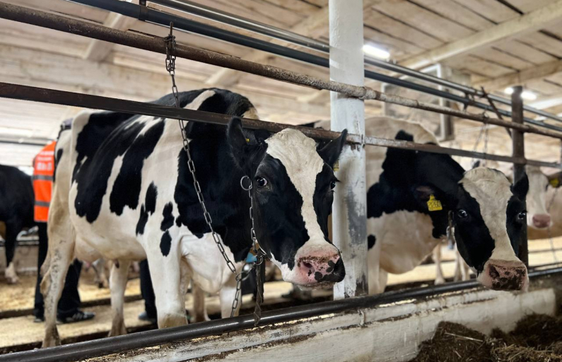 Фото: Анна Мантурова