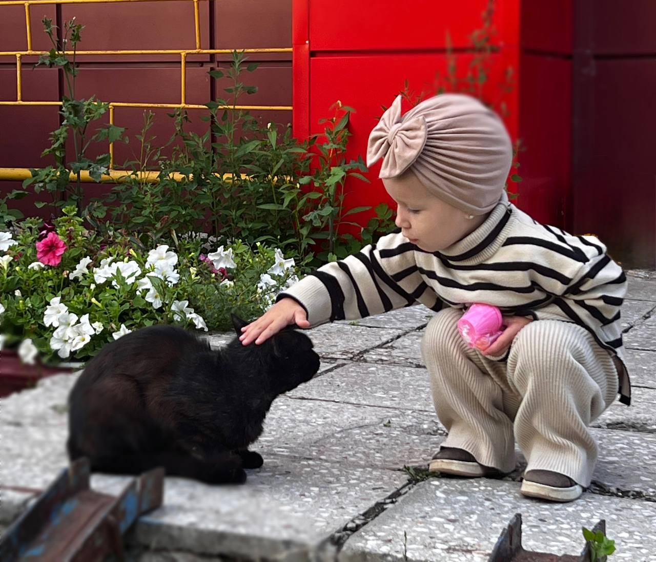 Невидимая угроза от пушистых друзей