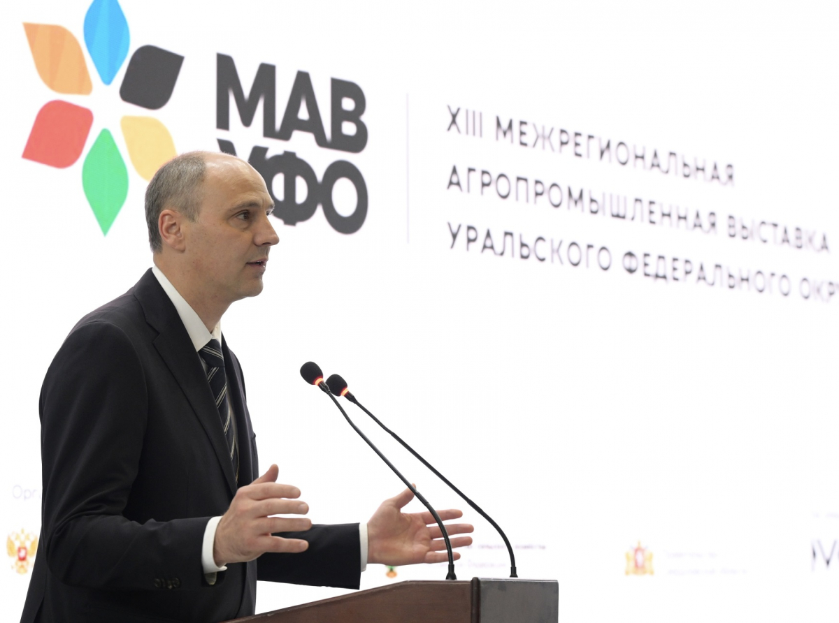 Фото: предоставлено ДИП