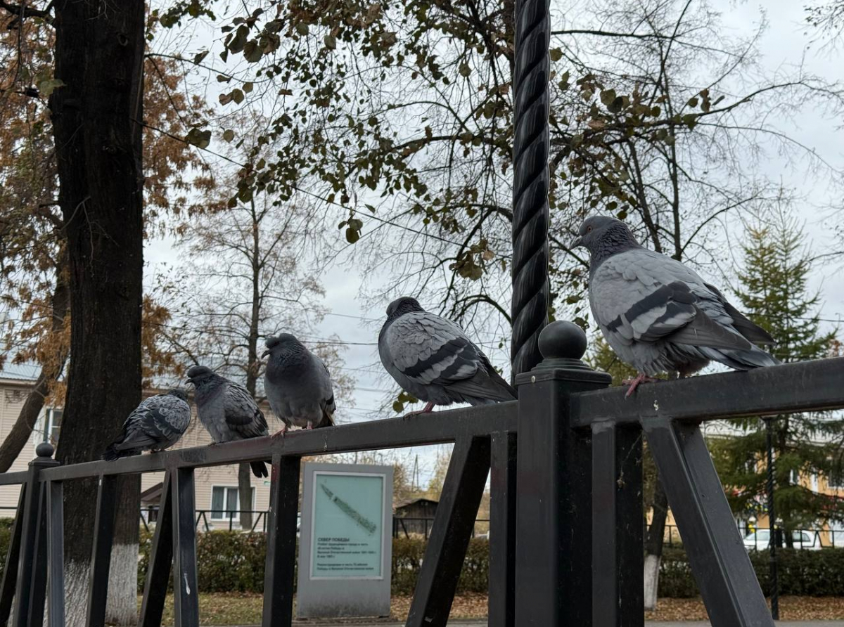 Фото: Анна Мантурова