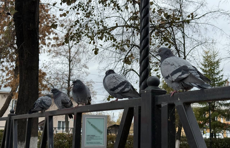 Фото: Анна Мантурова