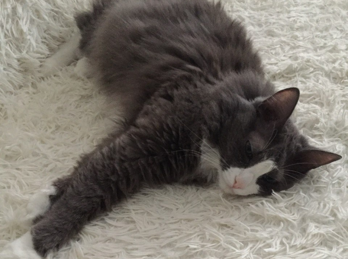 Фото: Анна Мантурова