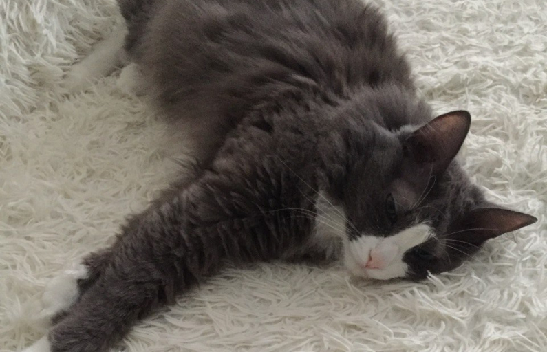 Фото: Анна Мантурова