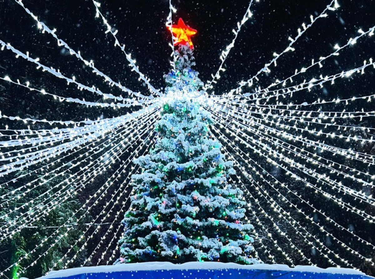 Фото из архива "АР"