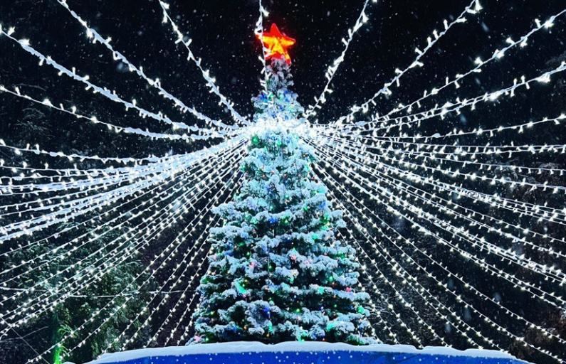 Фото из архива "АР"