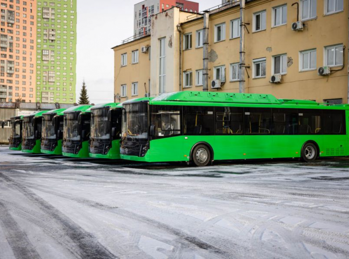 Фото предоставлено ДИП