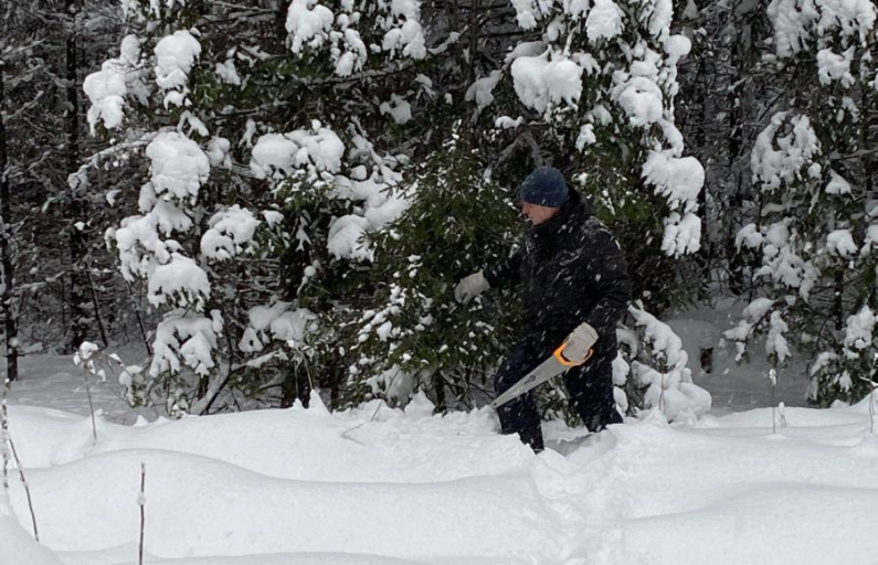 Фото: предоставлено ДИП