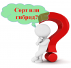 Что выбрать: сорт или гибрид?