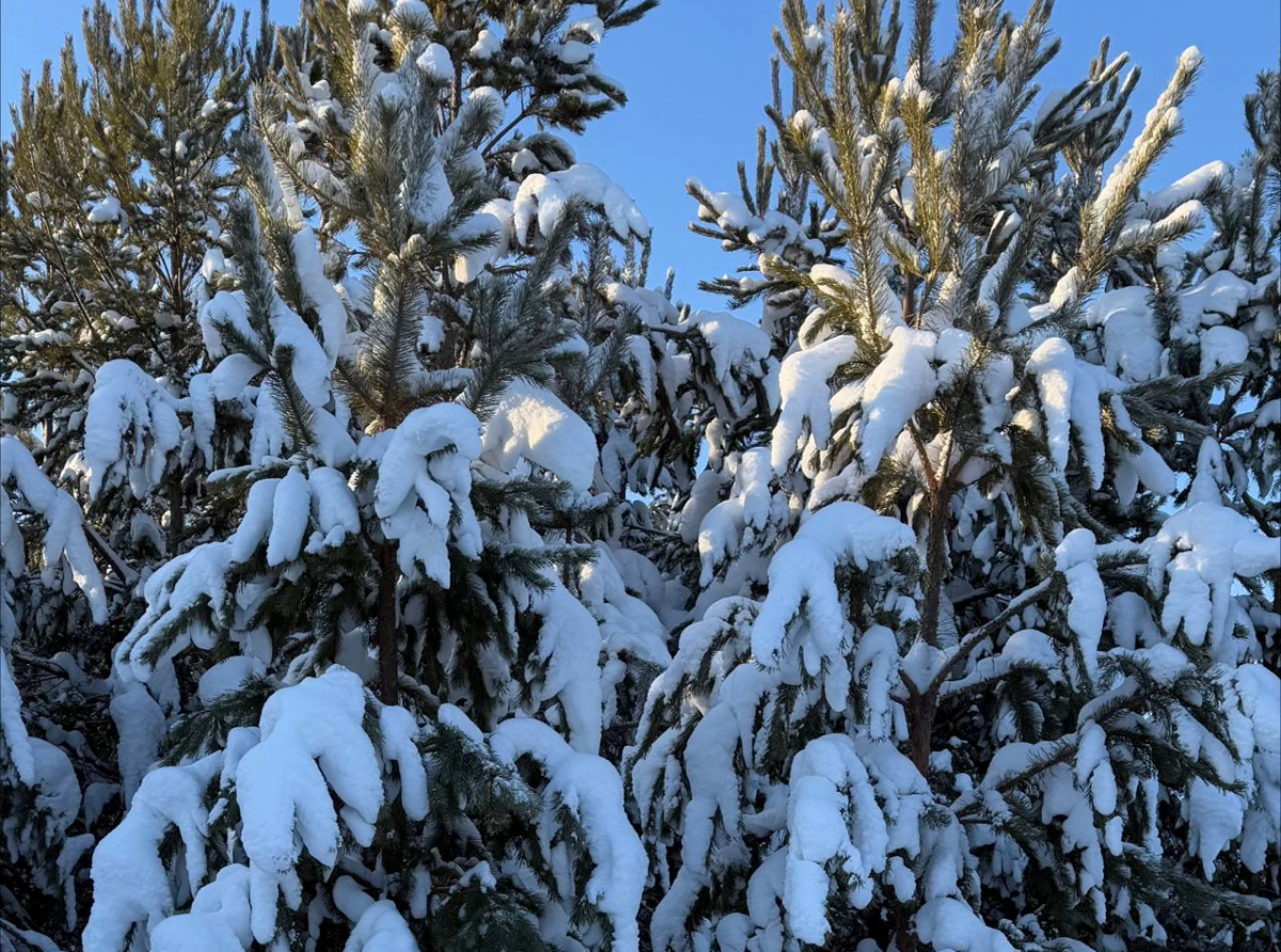 Фото: Анна Мантурова