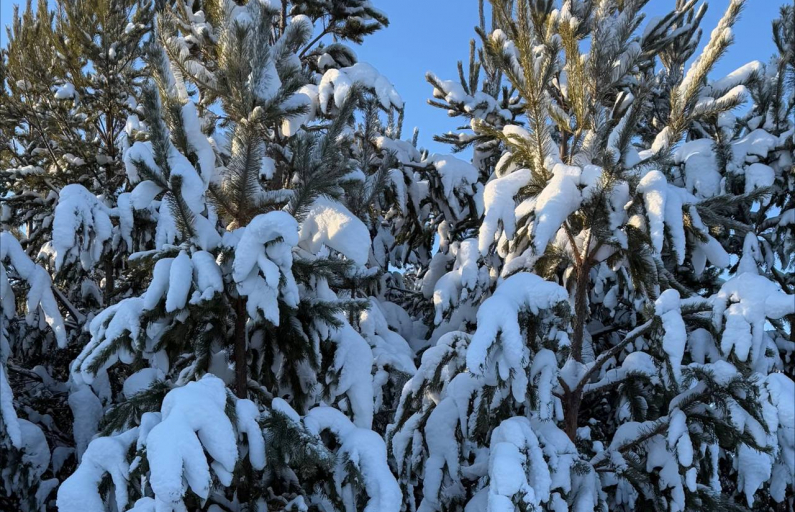 Фото: Анна Мантурова