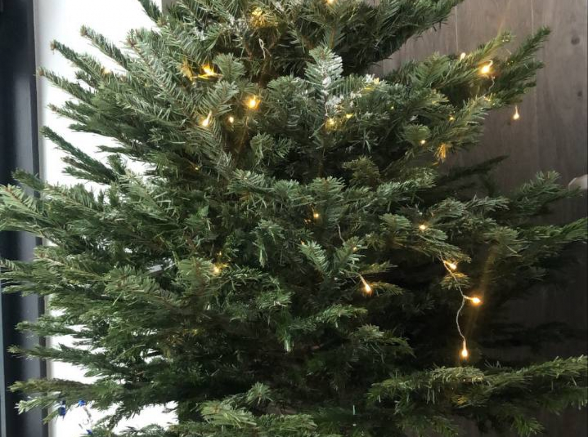 Фото: предоставлено ДИП