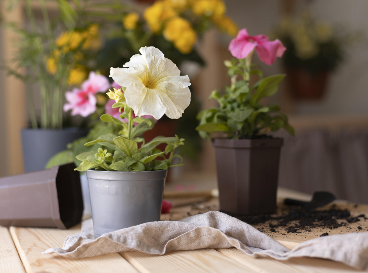 Фото: https://ru.freepik.com/free-photo/