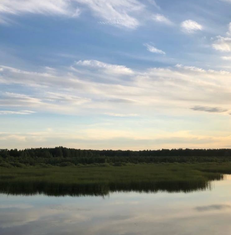 Артемовский получил 4,5 млн рублей на борьбу с незаконными свалками