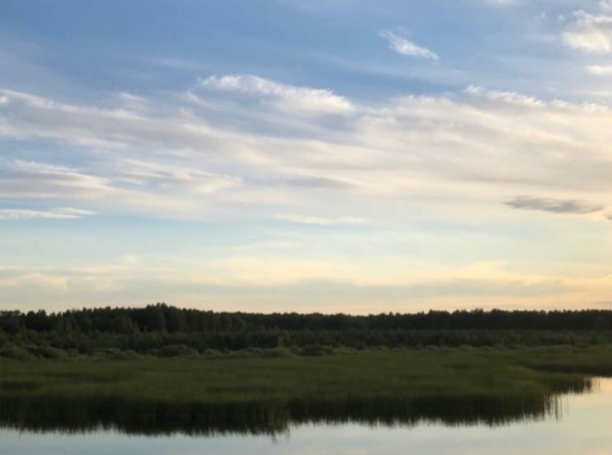 Фото: Анна Мантурова