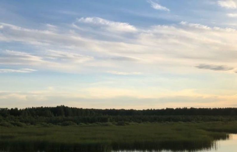 Фото: Анна Мантурова