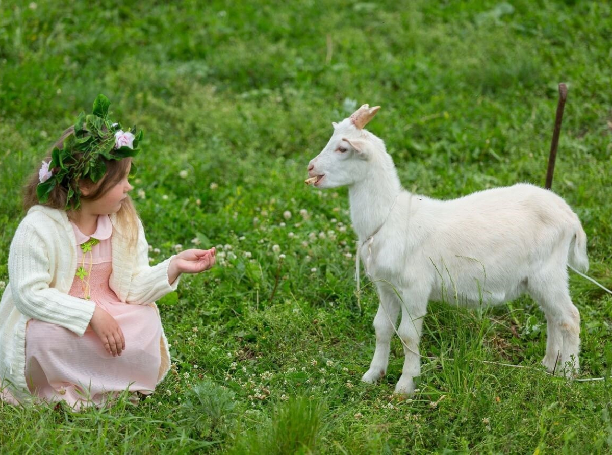 Фото: предоставлено ДИП