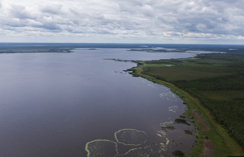 Фото: предоставлено ДИП
