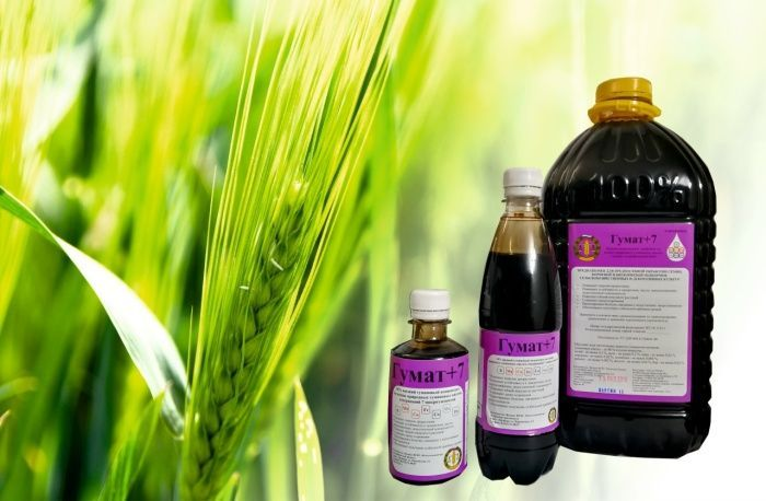 ГУМАТ «Здоровый урожай» для развития и роста