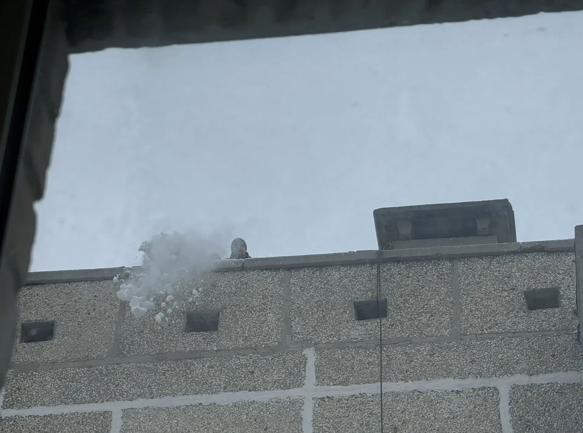 Фото: Анна Мантурова