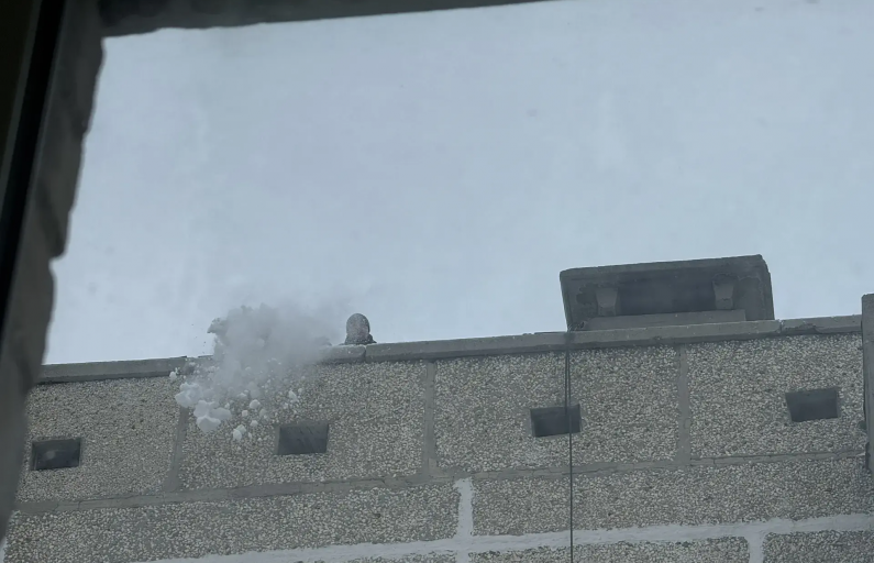 Фото: Анна Мантурова