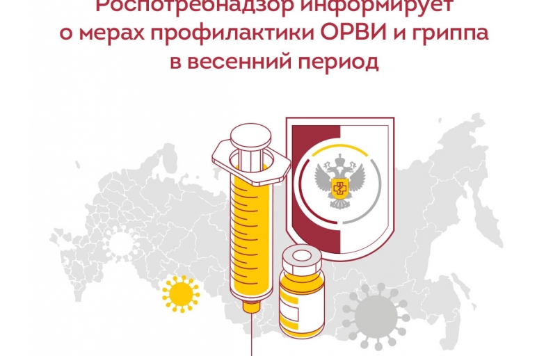 Рисунок предоставлен автором