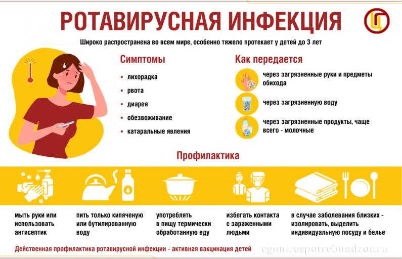 Рисунок предоставлен автором