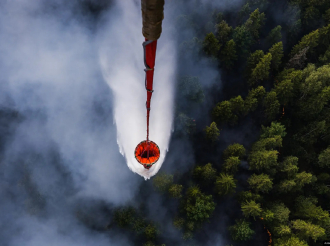 Денис Паслер утвердил сводный план тушения лесных пожаров