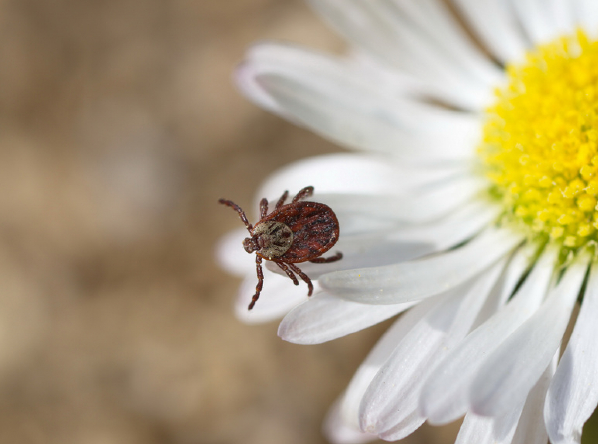 Фото предоставлено автором