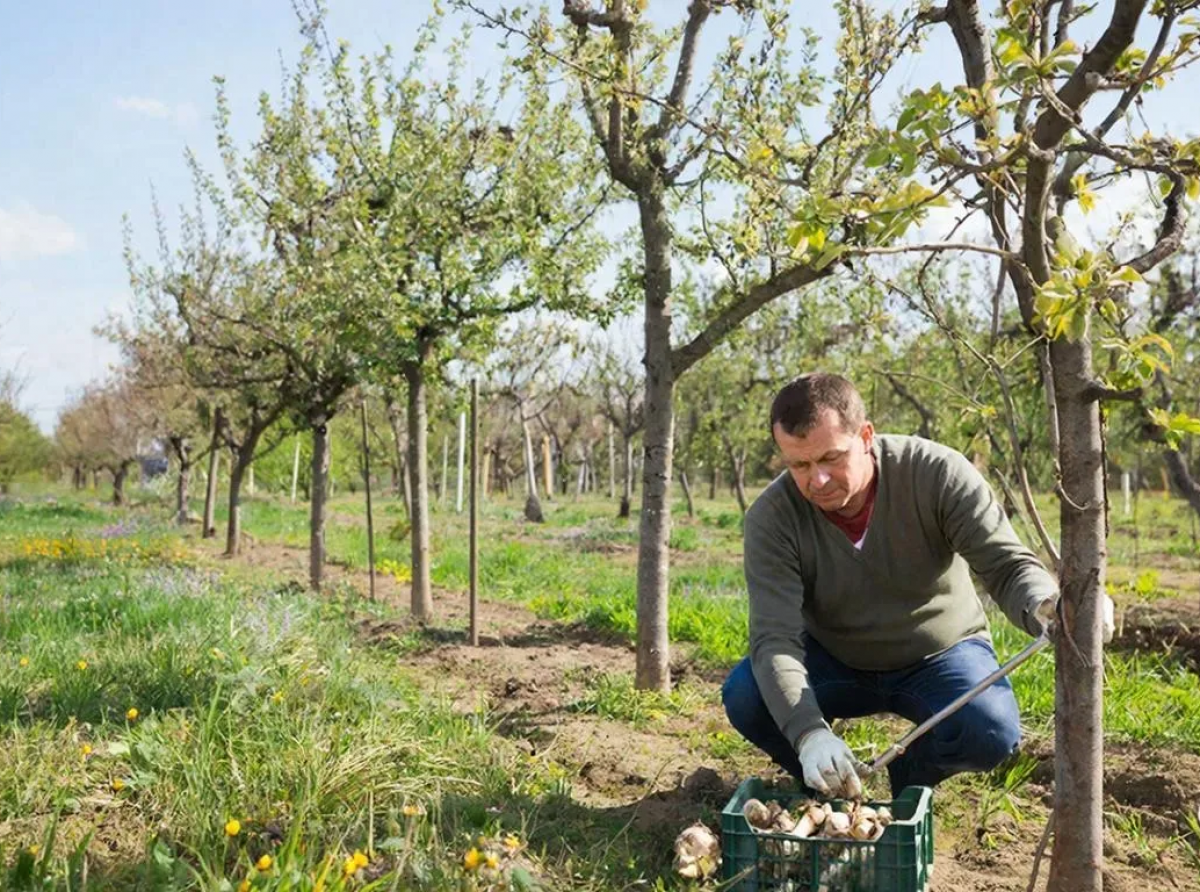 Фото: https://ru.freepik.com/free-photo/