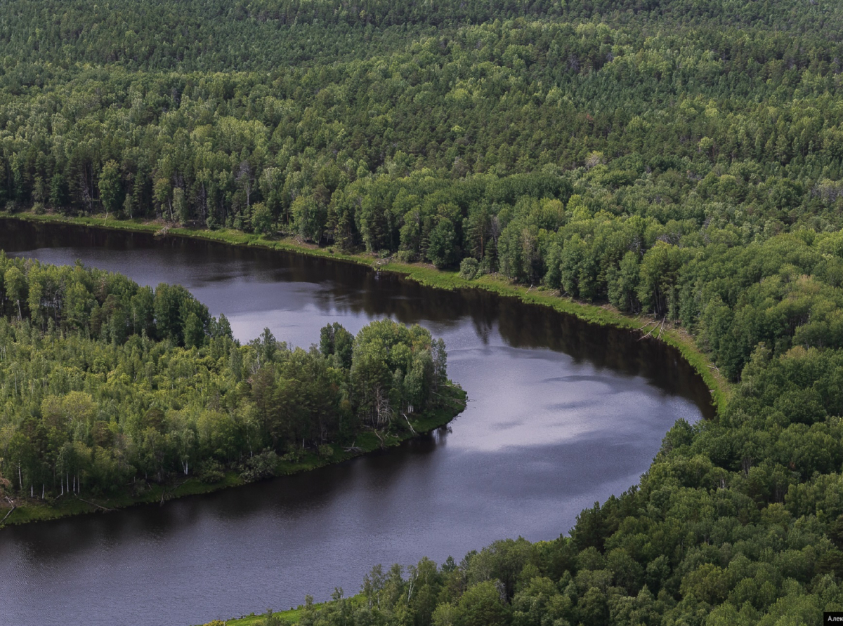 Фото предоставлено ДИП
